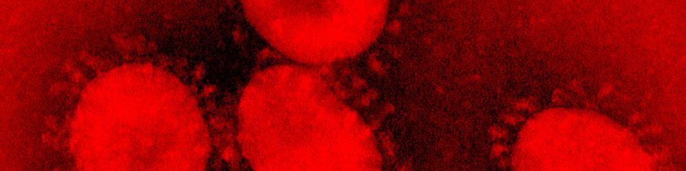 coronavirus-1580229274318