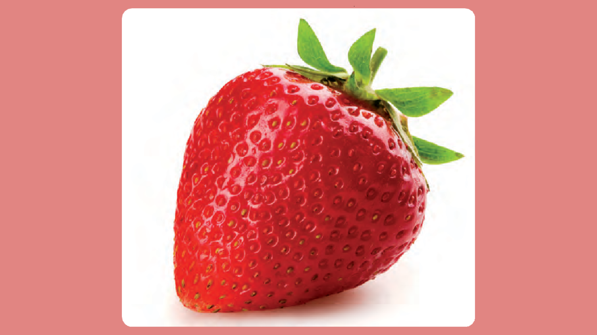 frutilla2